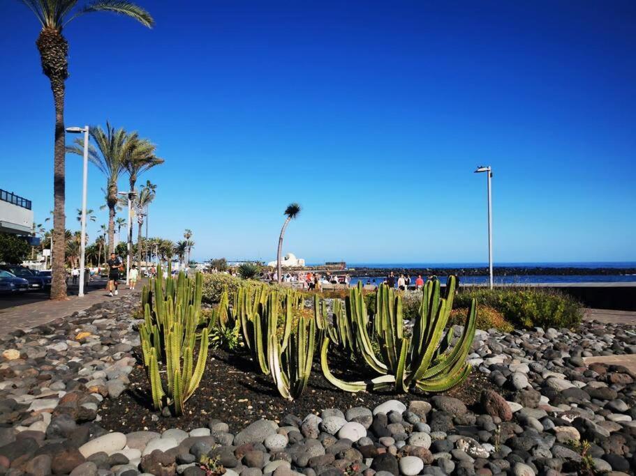 Estudio Ana Puerto de la Cruz  Exteriör bild